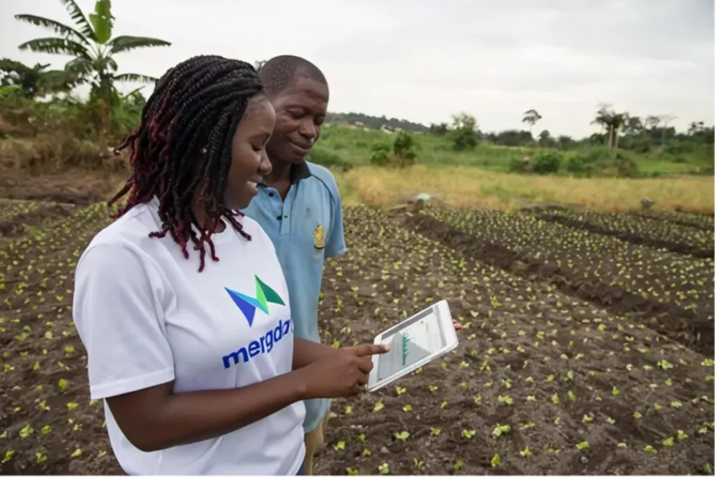 African farmers have a data problem – but modern technology can help