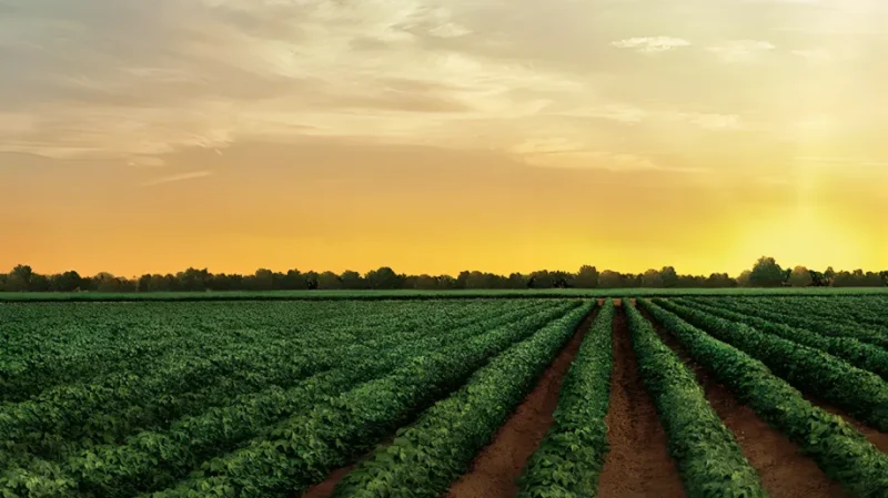 Tackle your New Year’s resolution with BASF (1)