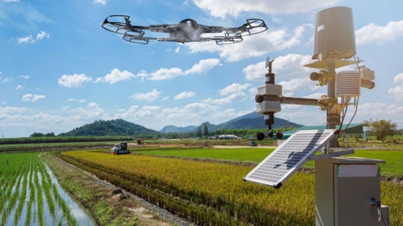 smart-farming-and-plantation-1024x536