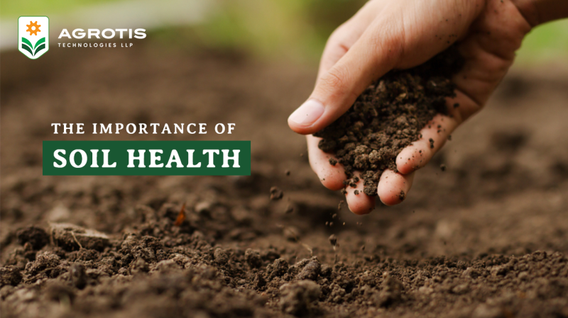 soil health
